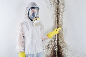 Asbestos and Lead Testing During Mold Inspection in Rock Port, MO